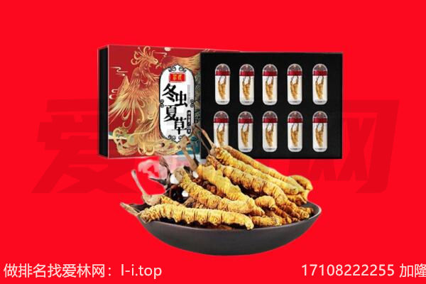 盐城市回收虫草.jpg